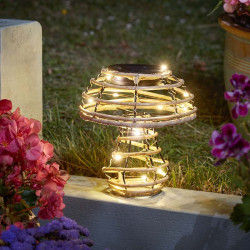 Glow Cap Regular Mushroom...